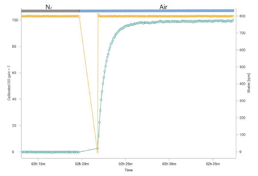 Dissolved oxygen saturation curve (green) during a kLa determination experiment. The shaker (yellow) was stopped briefly after air gassing was started to flush the headspace.