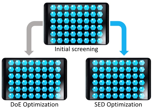 Workflow comparison of Design of Experiments (DoE) and Smart Experiment Design (SED) optimization approaches using a shared screening experiment