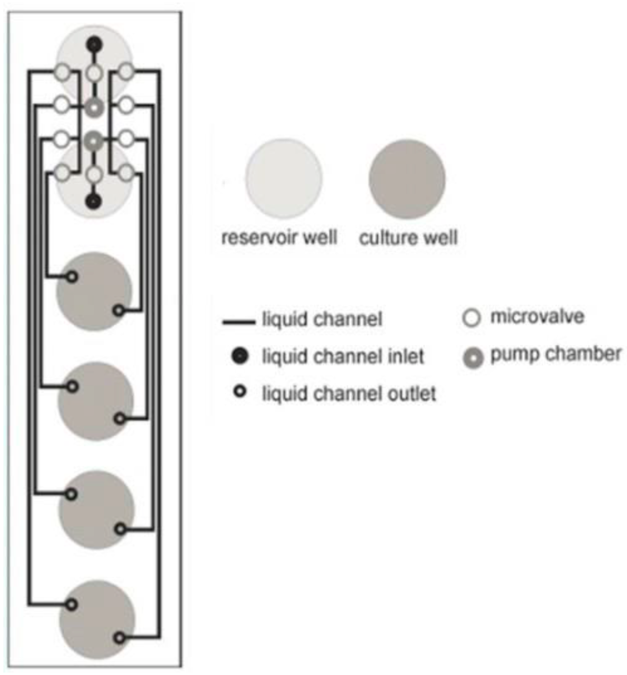 Figure 2 Schematic illustration of the microfluidic channels of the microfluidic FlowerPlate