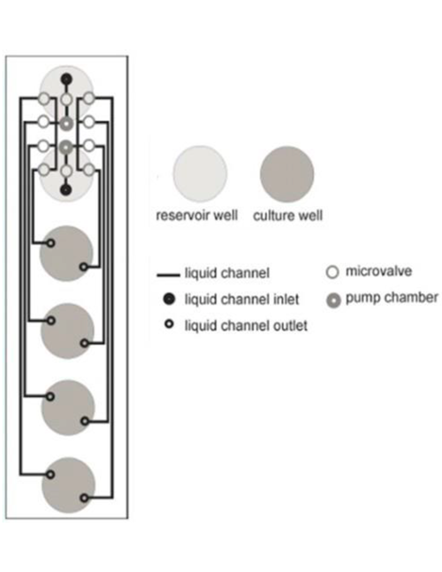 Figure 2 Schematic illustration of the microfluidic channels of the microfluidic FlowerPlate