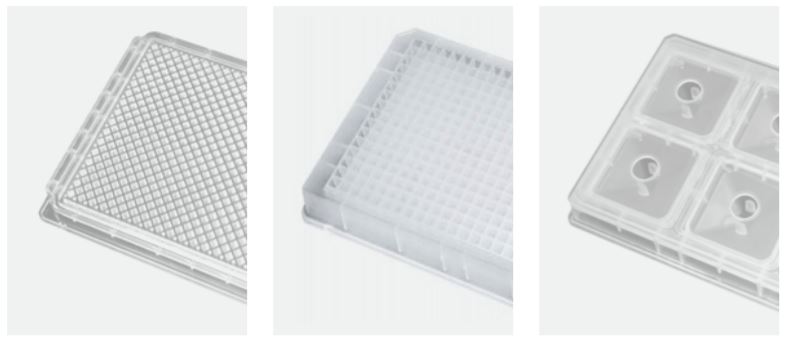 Echo Qualified Source Microplates