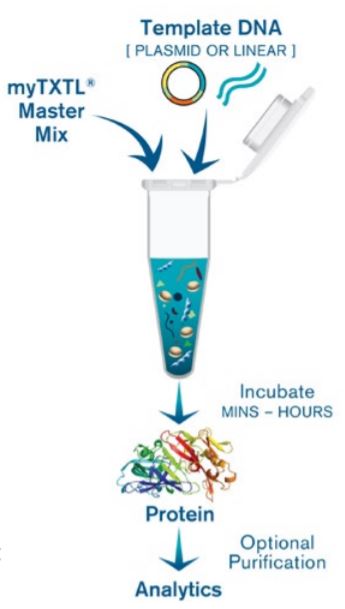 Optimization and Rapid Processing of Cell-free