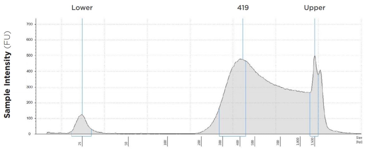 FIGURE 1A: TapeStation electropherograms of conditions tested, post magnetic bead cleanup. Size selection cutoff was performed using 0.6x SPRI beads. Average fragment length was 419 bp with a right tail, appropriate for 2x300 reads. Peak size dropoff reflects lesser amount of product amplified in a smaller volume.