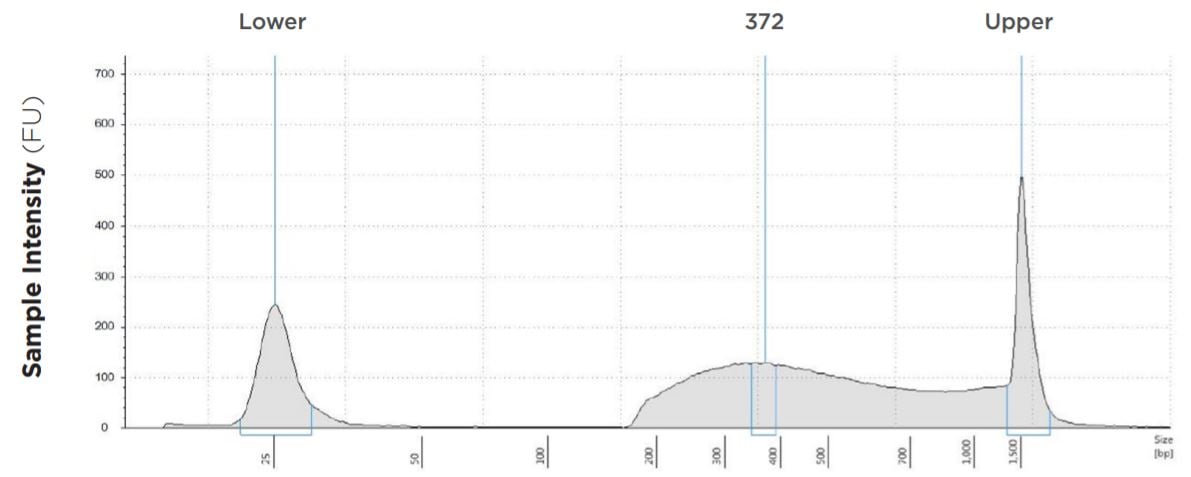 FIGURE 1C: TapeStation electropherograms of conditions tested, post magnetic bead cleanup. Size selection cutoff was performed using 0.6x SPRI beads. Average fragment length was 372 bp with a right tail, appropriate for 2x300 reads. Peak size dropoff reflects lesser amount of product amplified in a smaller volume.