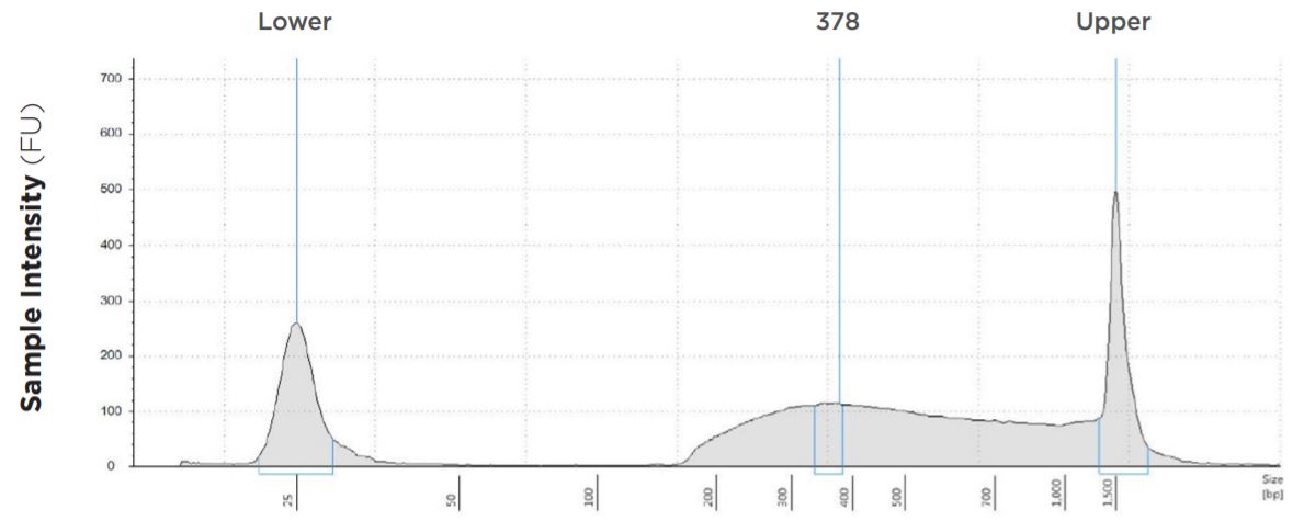 FIGURE 1D: TapeStation electropherograms of conditions tested, post magnetic bead cleanup. Size selection cutoff was performed using 0.6x SPRI beads. Average fragment length was 378 bp with a right tail, appropriate for 2x300 reads. Peak size dropoff reflects lesser amount of product amplified in a smaller volume.