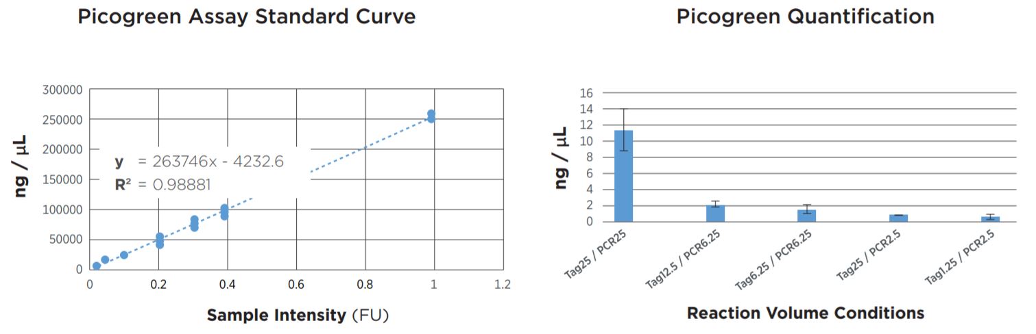 FIGURE 2: Picogreen quantification results. Standard curve was generated using lambda DNA from 25pg/µL to 1µg/µL. Results agree with TapeStation fragment analysis. Yield dropoff is expected due to reduced PCR volume, and is reproducible across technical replicates. Tag25/PCR25 was performed manually and shows greater variability