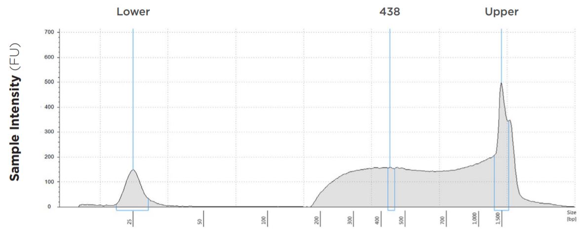 FIGURE 5: TapeStation electropherogram after library prep and magnetic bead cleanup of Salmonella enterica, a representative sample. Size selection cutoff was performed using 0.6x SPRI beads. Average fragment length is about 438 bp with a right tail, appropriate for 2x300 reads.