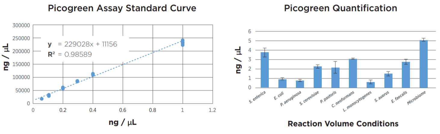 FIGURE 6: Picogreen quantification data of the samples after library prep and SPRI bead cleanup using the Echo 525 Liquid Handler to set up the assay. While the yield per sample varies, the Echo 525 was able to normalize and pool the samples together in less than one minute.