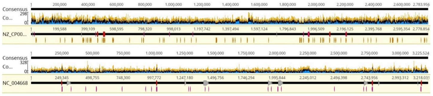 FIGURE 7: Coverage graphs of a) Staphylococcus aureus and b) Enterococcus faecalis, representative samples