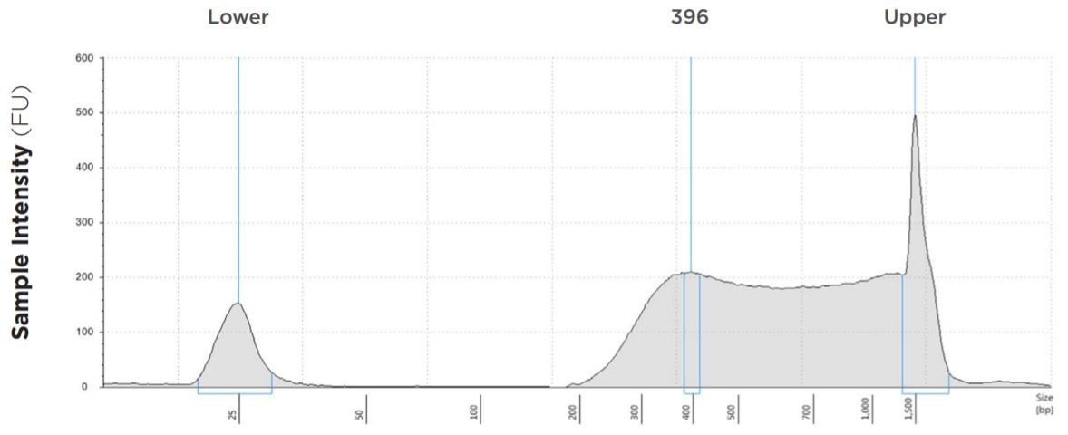 FIGURE 8: TapeStation electropherogram after library prep and magnetic bead cleanup. Size selection cutoff was performed using 0.6x SPRI beads. Average fragment length is about 396bp with a right tail, appropriate for 2x300 reads.