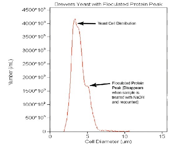 A yeast sample with a bi-modal peak. The first peak is yeast, while the second peak is that of flocculated protein. The secondary peak can be larger than the yeast cell peak