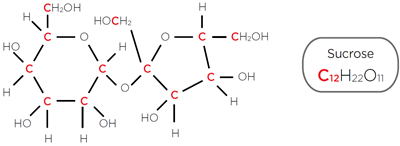 Organic molecule sucrose contains 12 carbon atoms C12H22O11