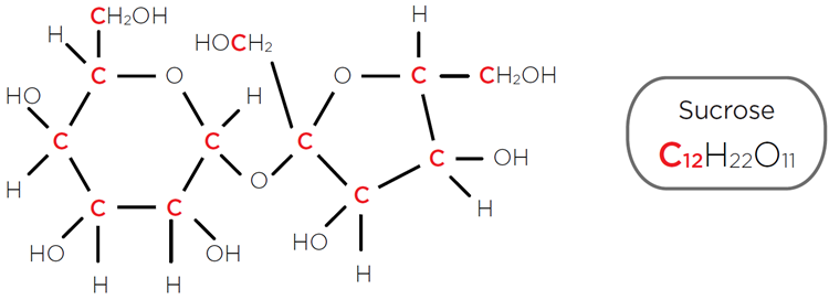 La molécula orgánica de la sacarosa contiene 12 átomos de carbono C12H22O11