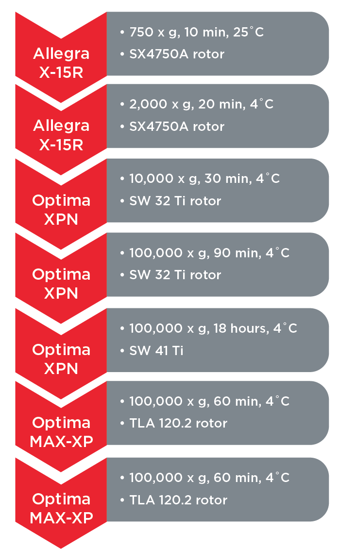 Cellular exosome recovery and analysis. A workflow is defined to isolate exosomes of interest by Beckman Coulter centrifugation