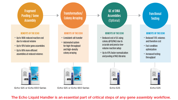 Gene Synthesis Workflow