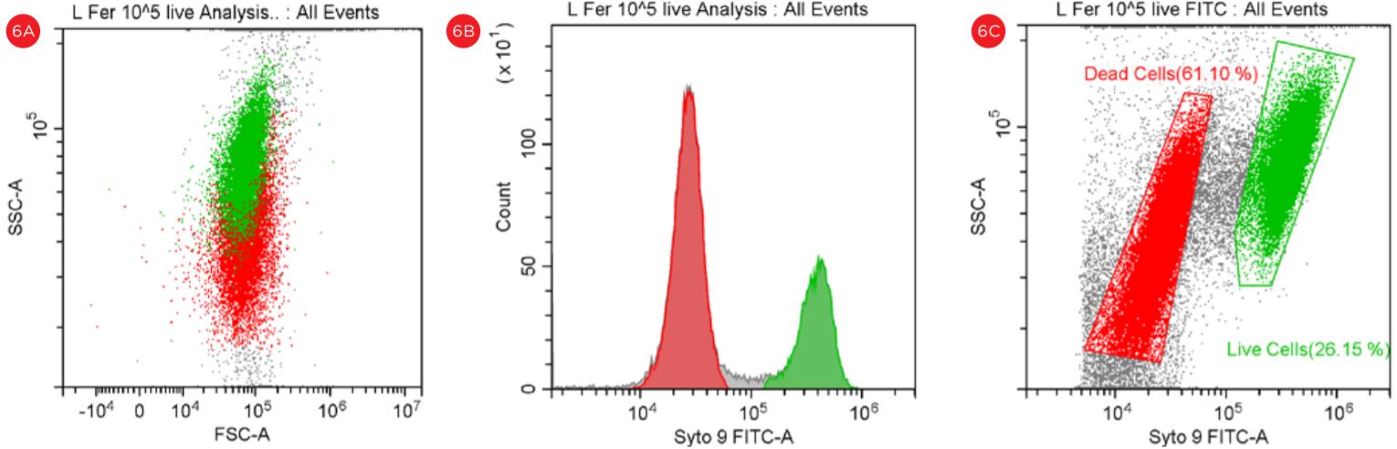 Figure 6 Gating Strategy for Live Dead L fermentum Analysis