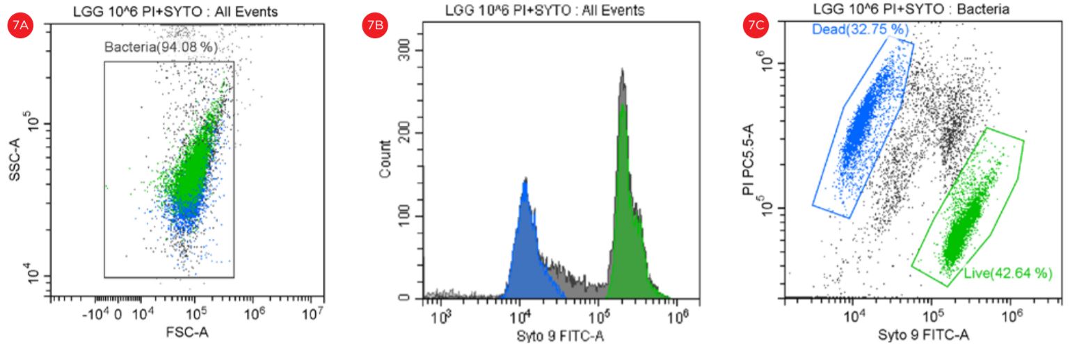 Figure 7 Gating Strategy for LiveDead L rhamnosus Analysis