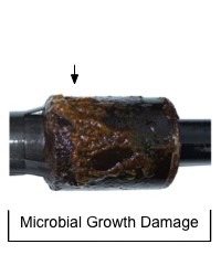 Microbial growth damage from contaminated oil