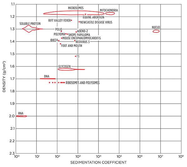 Fig. 2. Virus/cell organelle densities and S values1