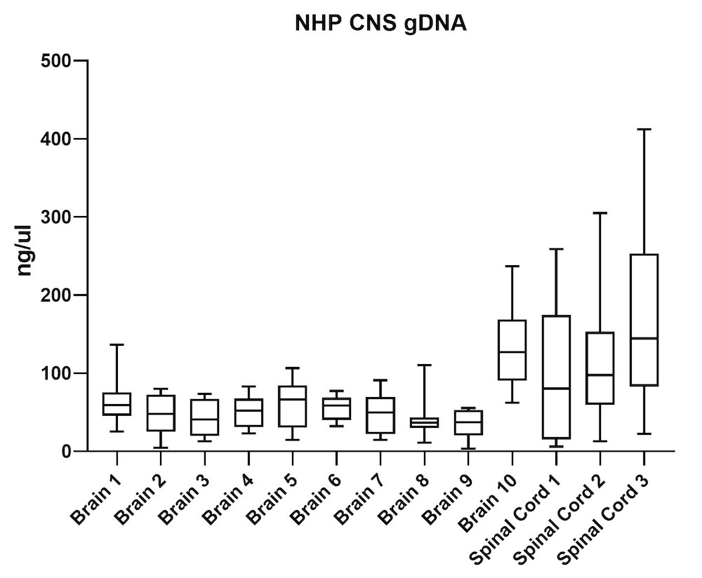 Figure 4A. Average gDNA yield from brains and spinal cord collected from non-human primates (NHP) model