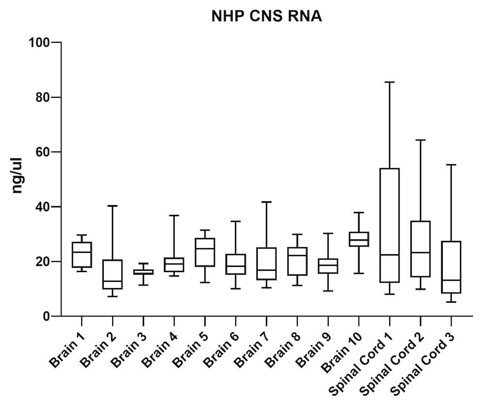 Figure 4B. Average RNA yield from brains and spinal cord collected from non-human primates (NHP) model
