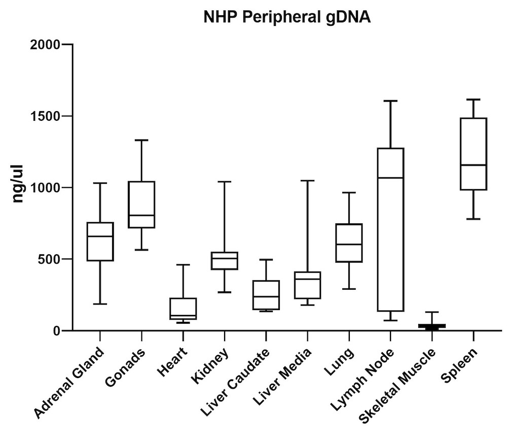 Figure 5A. Average gDNA yield from various tissue types collected from the NHP model