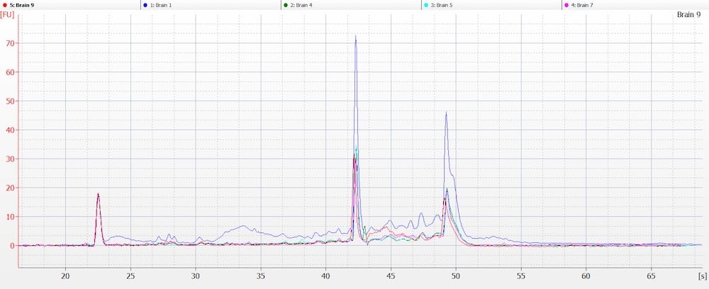Figure 6A. RNA trace from the representative mouse brain samples. No degradation was seen in the 18S to 28S ribosomal ratio, and RIN is calculated automatically