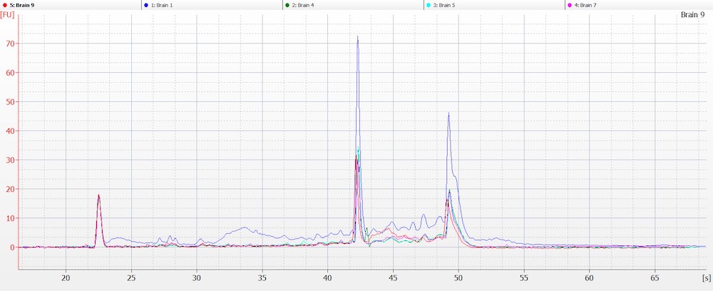 Figure 6A. RNA trace from the representative mouse brain samples. No degradation was seen in the 18S to 28S ribosomal ratio, and RIN is calculated automatically