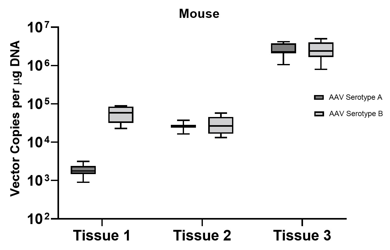 Figure 7A. Molecular of vector genomes in mouse models. Tropism across all the mouse tissues that were treated with AAV stereotypes