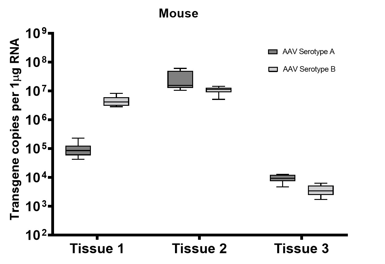 Figure 8A. Analysis of transgene expression levels from mouse tissues. The variation in transgene expression among multiple tissues in mouse