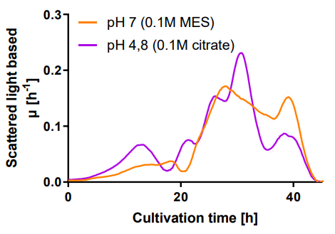 Figure 5: Comparison of growth rates of T. reesei RUT-C30 RFP1 at pH7 (0,1 M MES buffer) and pH 4,8 (0,1 M citrate buffer).