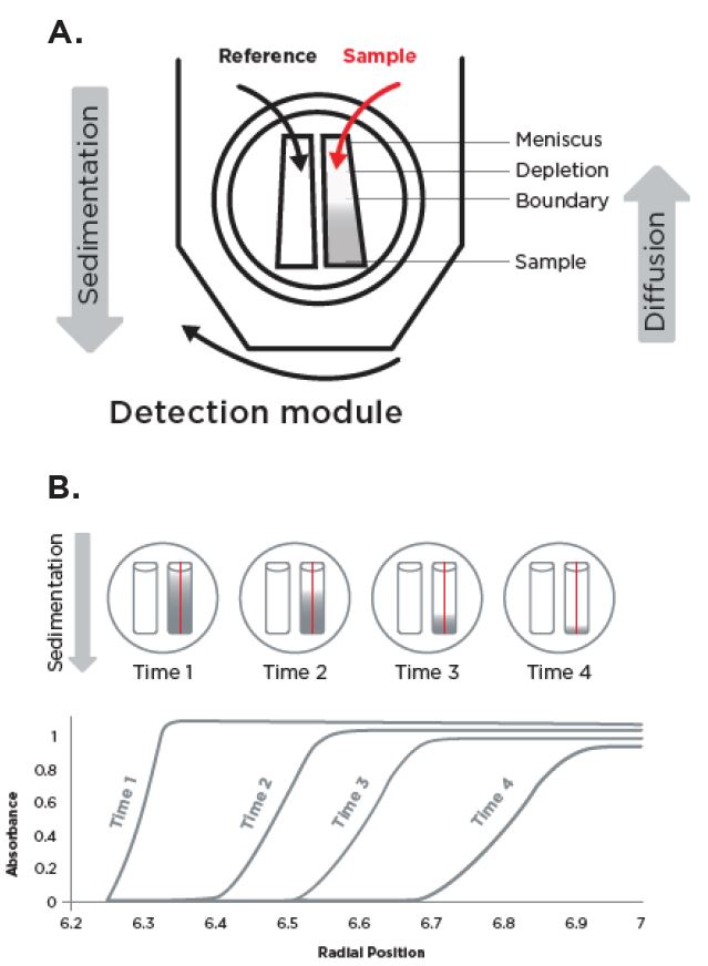 application note Leveraging Analytical Ultracentrifugation for Comprehensive Characterization of Lipid Nanoparticles in Drug Delivery Systems