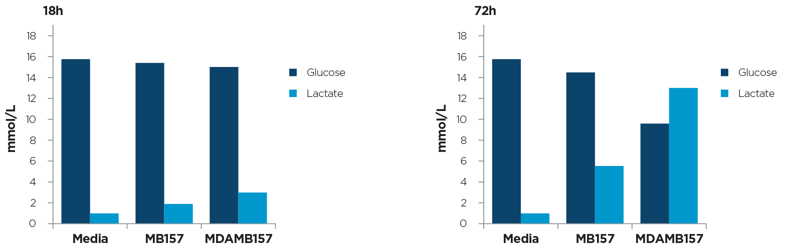 Breast cancer cell lines were grown in phenol red-free DMEM Dulbecco's modified Eagle's medium supplemented with 5% fetal calf serum, glutamine (2 mM) at 37°C in 5% CO2 atmosphere.