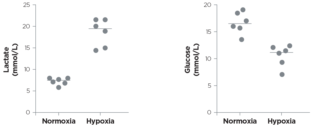 Ovarian cancer cells were cultured in DMEM high glucose +20ûS+1% glu e 1% p/s. Cells were exposed to normoxia (37°C and 20% O2) and hypoxia (37°C and 0.5% O2). Lactate and glucose concentrations were expressed as mmol/L. Courtesy of Decio A. & Ghilardi C.