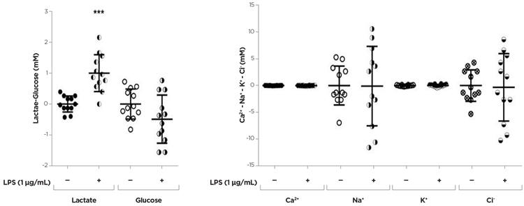 Los efectos del LPS se evaluaron en cultivos microgliales primarios obtenidos a partir de médula espinal embrionaria de ratón de 13 días de vida (E13) (para obtener los detalles, consulte De Paola et al., 2012) y se sembraron en placas de 24 pocillos a una densidad de 40 000 células/cm2 (volumen de medios: 500 μl/pocillo). Se agregó LPS a los medios de cultivo en el 7.º día in vitro (concentración de tratamiento de LPS: 1 μg/ml) durante 24 horas.