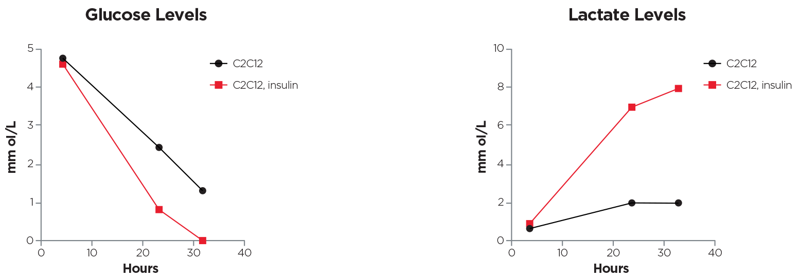 Semiconfluent C2C12 myoblasts were differentiated in myotubes and cultured in DMEM low glucose (2% horse serum). At time 0, insulin (50nM) was added to the culture medium and at the indicated times glucose and lactate levels were recorded. Courtesy of Zito E. & Pozzer D.