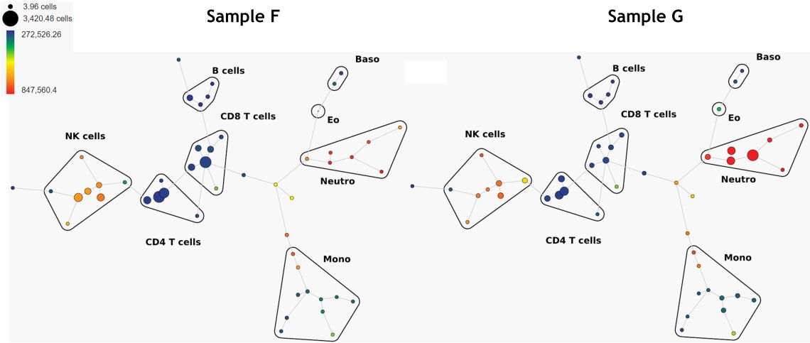 SPADE trees colored by CD16 expression