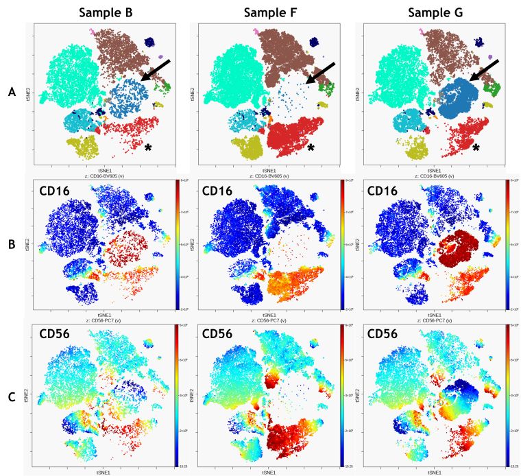 Comparison of 3 samples using ML-assisted analysis