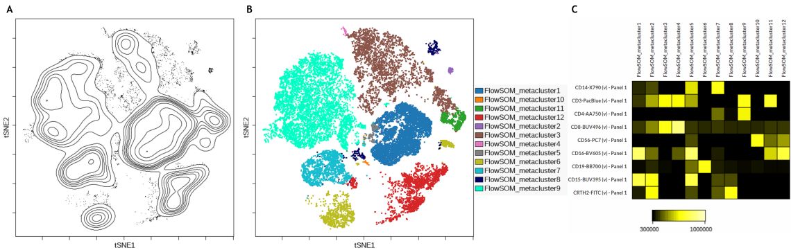 Subset identification using viSNE, FlowSOM and a heatmap display