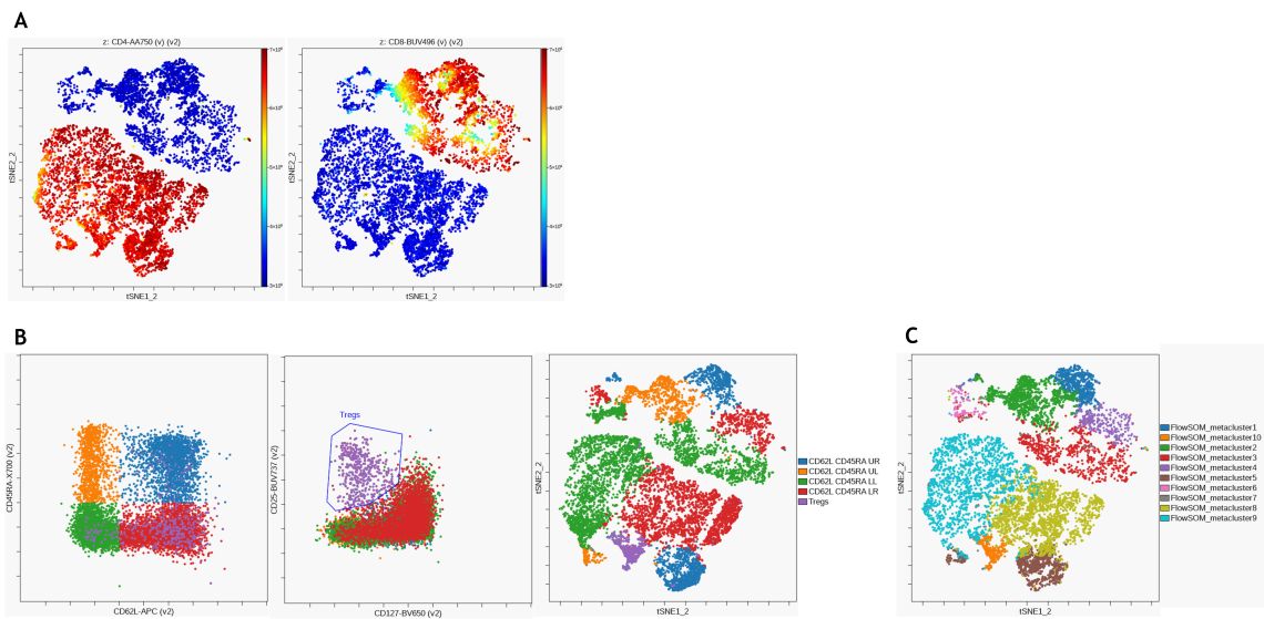 Unsupervised analysis of T cell subsets