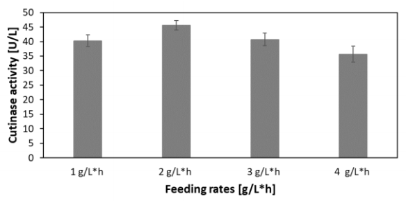Figure 12 Comparison of the cutinase activities of C. glutamicum at different linear feed rates with an increase of 0.1 µL/h
