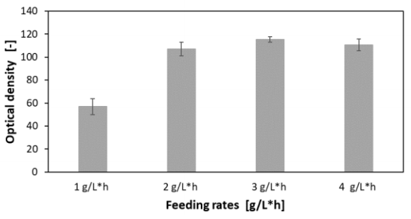 Figure 13 Comparison of the optical densities of C. glutamicum at different linear feed rates with an increase of 0.1 µL/h