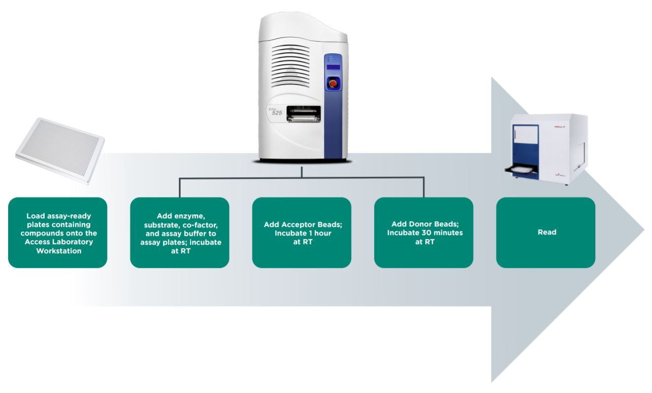 Figure 4 Automated workflow for AlphaLISA epigenetic assay