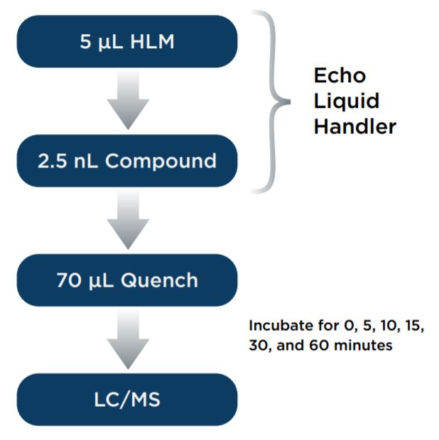 Figure 1. Assay scheme for the miniaturized metabolic stability assay. 5 μL HLM and 2.5 nL compound were transferred with Echo 525 Liquid Handler and the Echo 555 Liquid Handler, respectively.