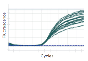 300 nL total rxn volume