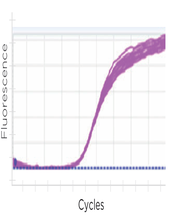 800 nL total rxn volume