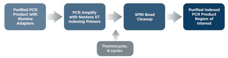 Nextera XT Indicies to Samples Workflow