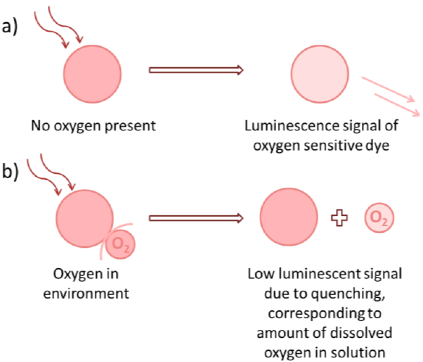 Figure 3 Principle of response of oxygen detecting