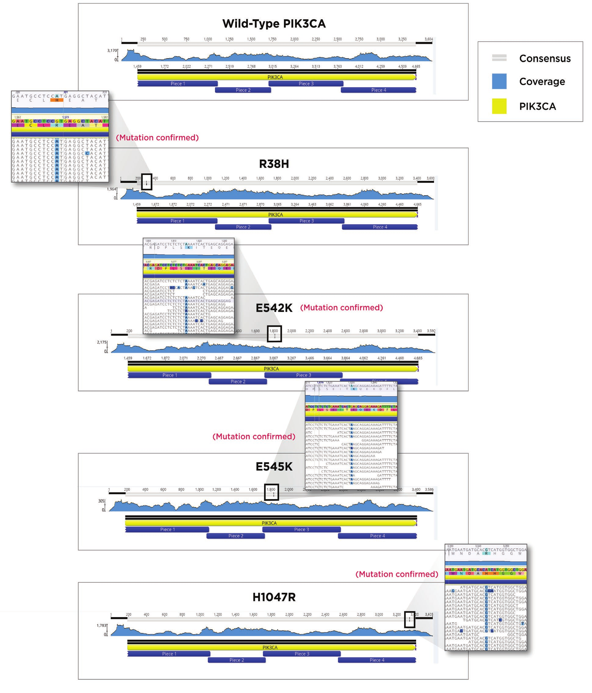 fig7 Modular DNA Assembly of PIK3CA Using Acoustic Liquid Transfer in Nanoliter Volumes