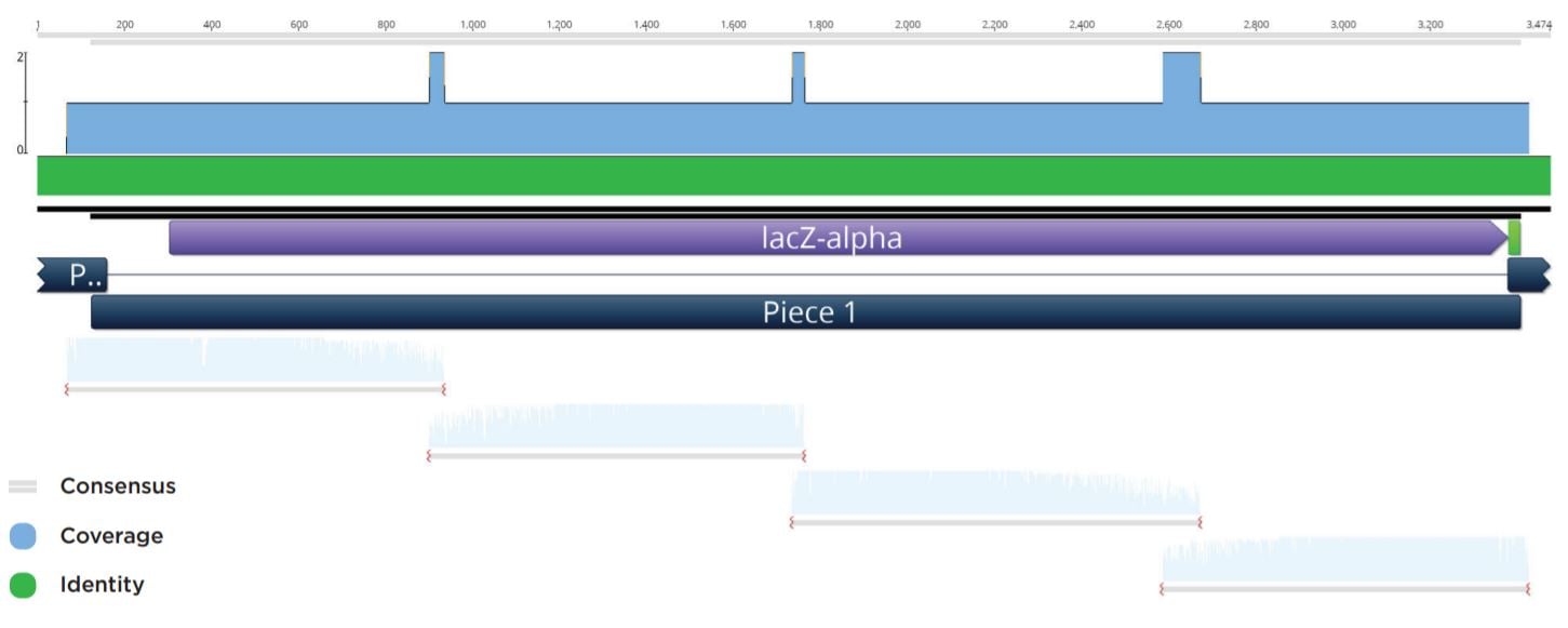 fig4 Nanoliter Scale DNA Assembly Utilizing the NEBuilder HiFi Cloning Kit with the Echo 525 Liquid Handler